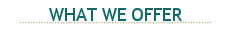 WHAT WE OFFER